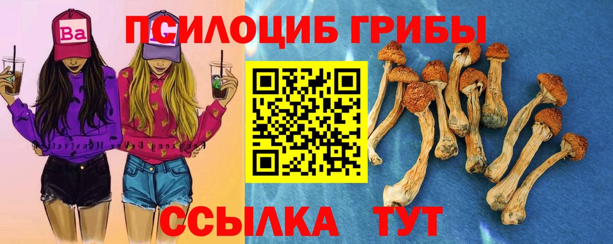 Киселёвск  Псилоцибиновые грибы GOLDEN TEACHER  Галлюциногенные грибы Cubensis  Вход с VPN 