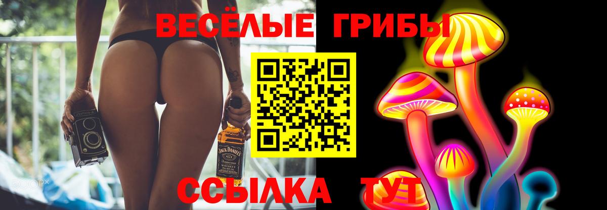 Псилоцибиновые грибы мицелий Киселёвск