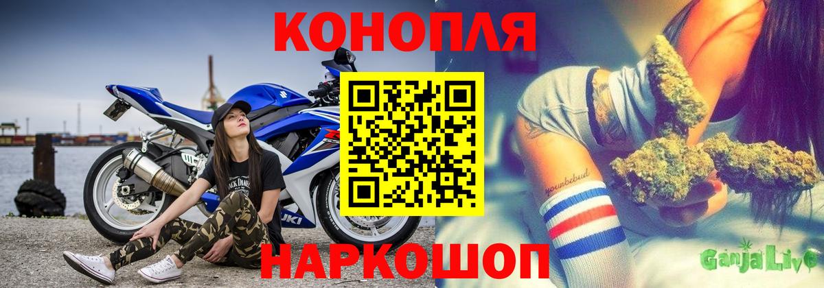Канабис OG Kush Киселёвск